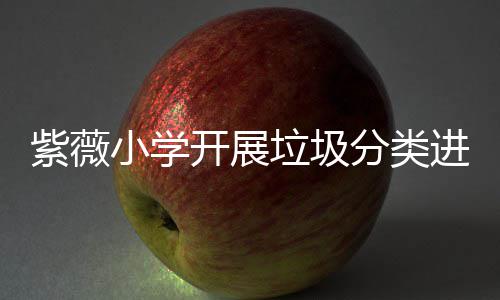 动开展园活小学紫薇进校垃圾分类